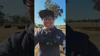 2024 Margaret River vintage harvest #wine  #video