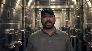 Rodney Strong Vineyards
