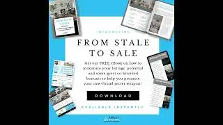 Stale to Sale pro book covers