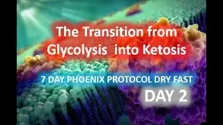 Day 2 of a 7 day dry fast