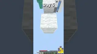 Daily in minecraft chacha bridge #minecraft #shorts #challenge #10Ksub