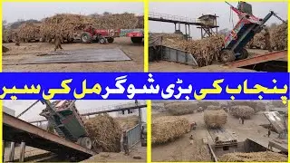 We will take you on a tour of the big (Ashraf Sugar) mill in Punjab and see how sugarcane is unload