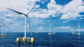 Greens Destroying the Seabed Ecology and the Fishing Industry!
