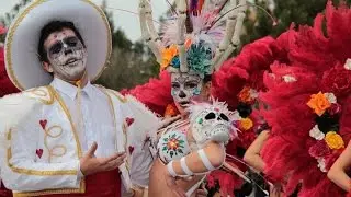 Costa de Prata ( Ovar ) - Carnaval de Ovar 2017  - Ter&ccedil;a-Feira - Sector 1