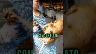 CARNE DE PERRO la comida m&aacute;s cara para los chinos . 🥵🤮