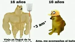 MEMES DE DOGE Y CHEEMS uwu