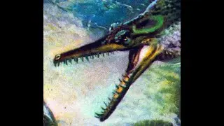 Metriorhynchus: An Aquatic cousin of the Crocodiles