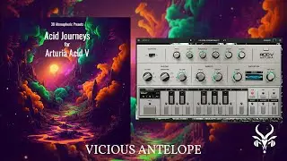 Arturia Acid V Presets &ndash; Vicious Antelope &ndash; Acid Journeys