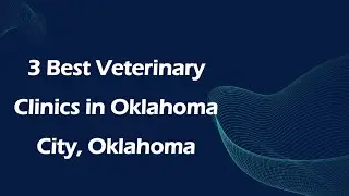 3 Best Veterinary Clinics in Oklahoma City, Oklahoma | Animal Hospitals