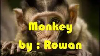 Dubstep : Monkey