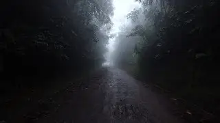 Ruta 