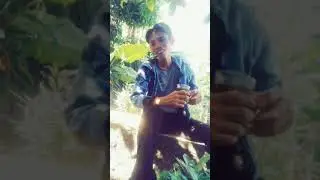 Kalau kau begitu, Sayapi pale begini...