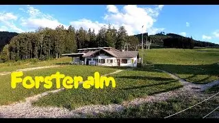 A quick look | Forsteralm | Austria