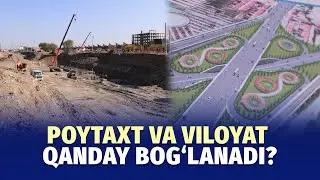 “Food  city chorrahasi” qanday bo‘ladi?