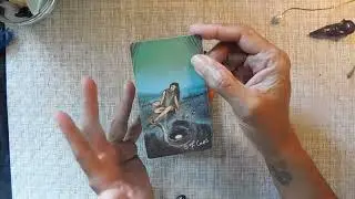 SEPT 1 Daily Tarot Pull #dailydivination  #fyp  #tarot  #tarotreading
