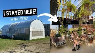 Overnight at Taiwan’s Greenhouse Airbnb 🌱🇹🇼 [不敢相信我在新竹的溫室裡過夜]