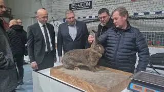 Tešanjska hronika 992: Održana 19. međunarodna izložba sitnih životinja u Tešnju