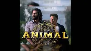Animal Day 3 Box Office Collection | India net all languages | Ranbir Kapoor