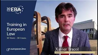 30 years 30 cases: Schrems (II) (C-311/18)