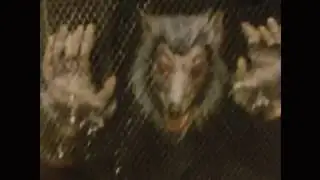The Murlocs - Wolf Creep
