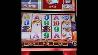 Buffalo Gold Revolution - Big win bonus