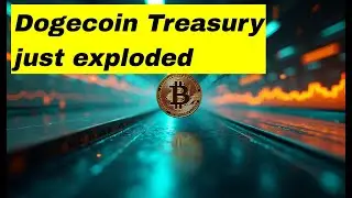 Dogecoin Treasury Surges Again How Dogecoin Treasury Boosts Market Power & Arctic Pablo ROI 2025