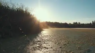 Swan Lake Nature Sanctuary