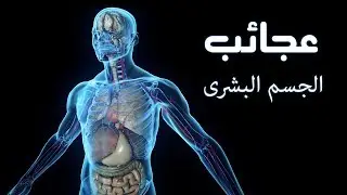 حقائق مدهشه عن جسم الانسان .. ذلك الكائن العجيب .. ستعرفها لأول مرة !