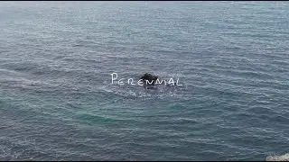 Kathi Deakin - Perennial (Official Music Video)