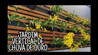 JARDIM VERTICAL DE CHUVA DE OURO E VLOG DE COMPRA DE ORQUÍDEAS