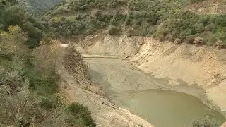 Prolonged Drought Puts Crops at Risk in Algeria