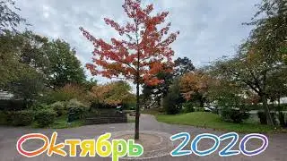 Осенний релакс.Гитара(Аrmik.Besos de Amor).Lippstadt.