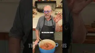 Молочные коровы вкуснее обычных?