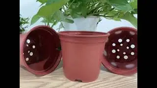 Plastic Flower Pot Samples Produced By Plastic Thermoforming Machine