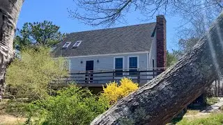 Meadow Marsh Real Estate--Cape Cod Vacation Rental #846