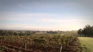 Tyrrell's Wines - Trailer Video (Australia's First Families of Wine - AFFW)
