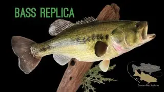 Custom Largemouth Bass Replica 