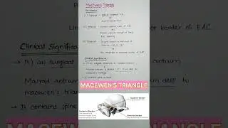 MACEWEN'S TRIANGLE #shorts #neetpg #inicet #fmge #ent #mbbs #ytshorts