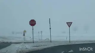 12 января 2026 г.