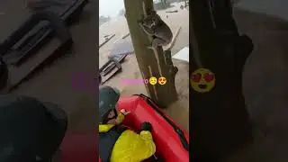 The Most Unexpected Rescue Today