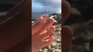 FINDING QUARTZ CRYSTAL  #crystals #beautiful #shorts #cool #short #wow