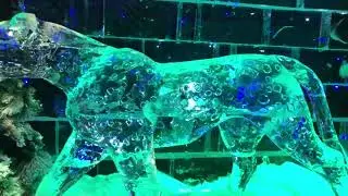 #DUBAI ICE PARK The Most craziest new place to visit in #UAE
