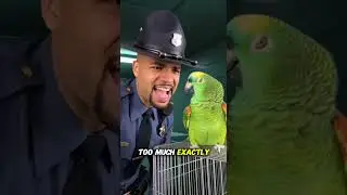 🦜😂 Talking Parrot ROASTS the Police Officer in Jail 💀🚔