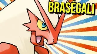 HISTOIRE STRATÉGIQUE DE BRASÉGALI