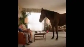 I'm so hungry i could eat a horse
