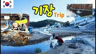 부산 여행, 아직도 해운대만 가세요? 요즘 기장에서 가장 핫한 필수 코스