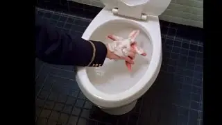 Patrick's special treatment