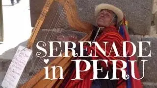 Blind Peruvian harpist paying in Ollanta