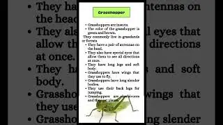 10 lines on Grasshopper/short paragraph on Grasshopper/Essay on Grasshopper in English/A insce