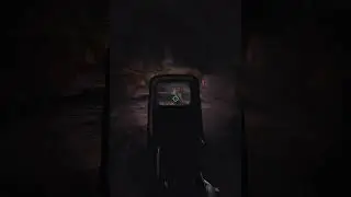 Snorks are little RATS in Stalker Gamma #shorts #stalker2 #stalker #anomaly #stalkeranomaly